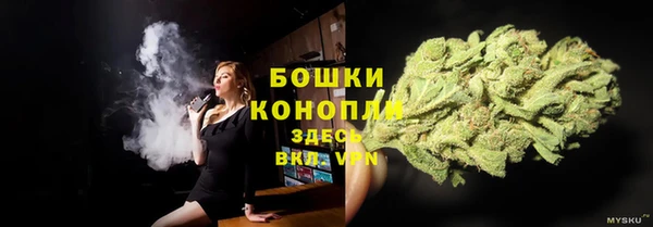 молекула духа Вязники