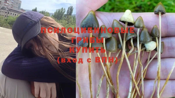 прущий лед Вяземский