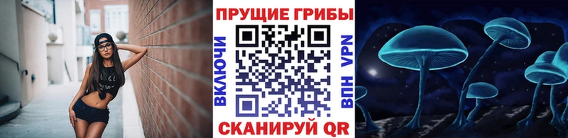 как найти   Кимры  Галлюциногенные грибы Cubensis 
