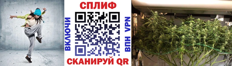 Бошки Шишки гибрид Кимры